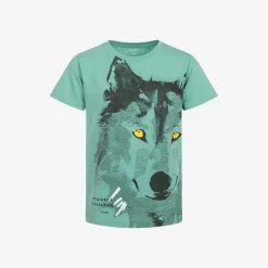 T-shirt z krótkim rękawem dla chłopca, z wilkiem, zielony 9-13 lat