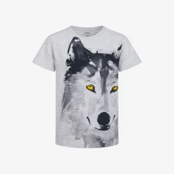 T-shirt z krótkim rękawem dla chłopca, z wilkiem, szary 9-13 lat