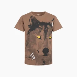 T-shirt z krótkim rękawem dla chłopca, z wilkiem, brązowy 9-13 lat